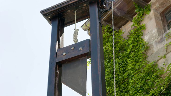 Un acheteur fait l’acquisition d’une guillotine