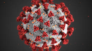 Entreprise de désinfection coronavirus à Paris Entreprise de désinfection coronavirus à Paris